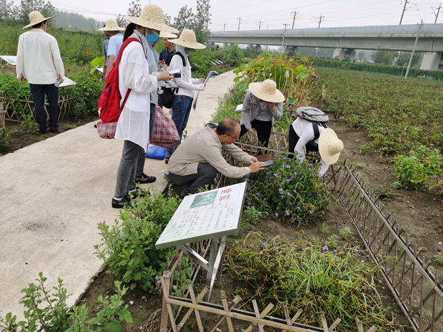 8月21日至25日,以安徽省中医药大学程旺兴教授为领队的安徽省普查队到